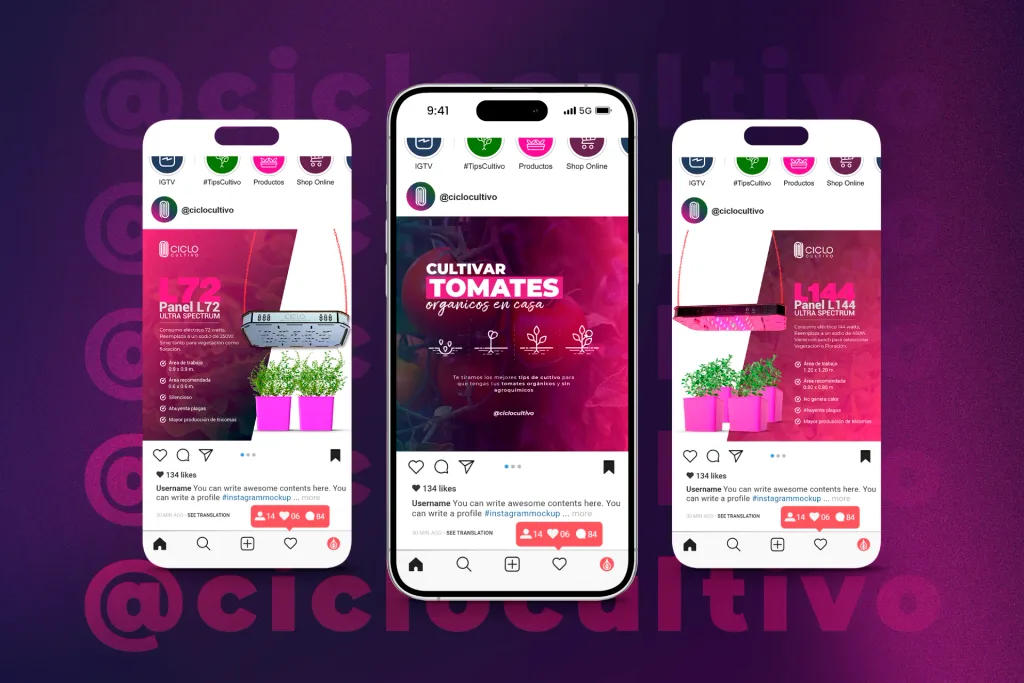 Instagram feed, content templates, flyers and product catalogue for Ciclo Cultivo