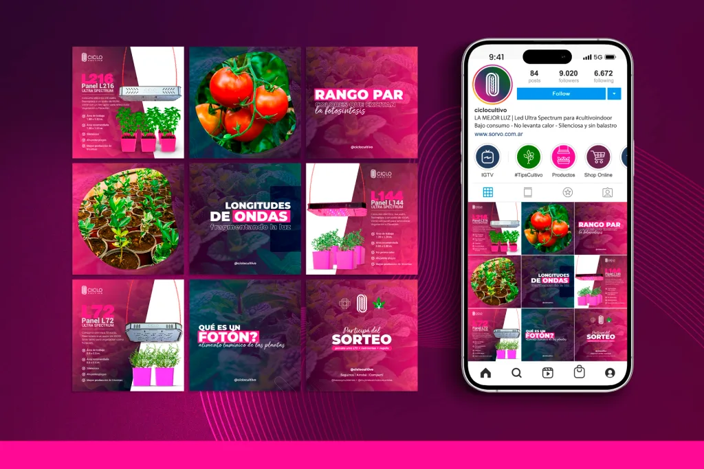 Instagram feed, content templates, flyers and product catalogue for Ciclo Cultivo