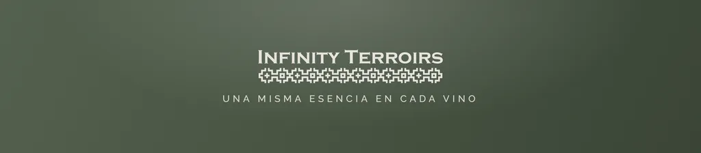 Screens from the Infinity Terroirs website on desktop and mobile